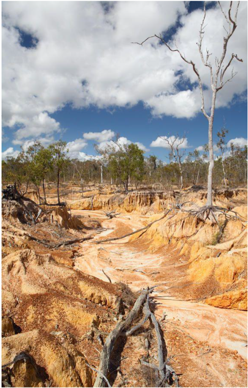 Soil erosion and laterite exposure