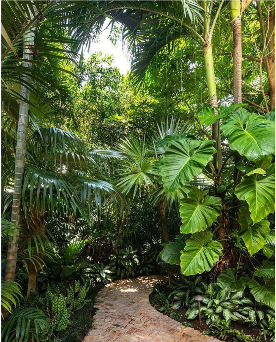 Open natural ecosystem with grasses and herbs