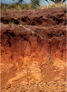 Dry lateritic grassland terrain