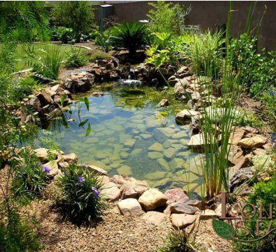 Naturalistic water body design