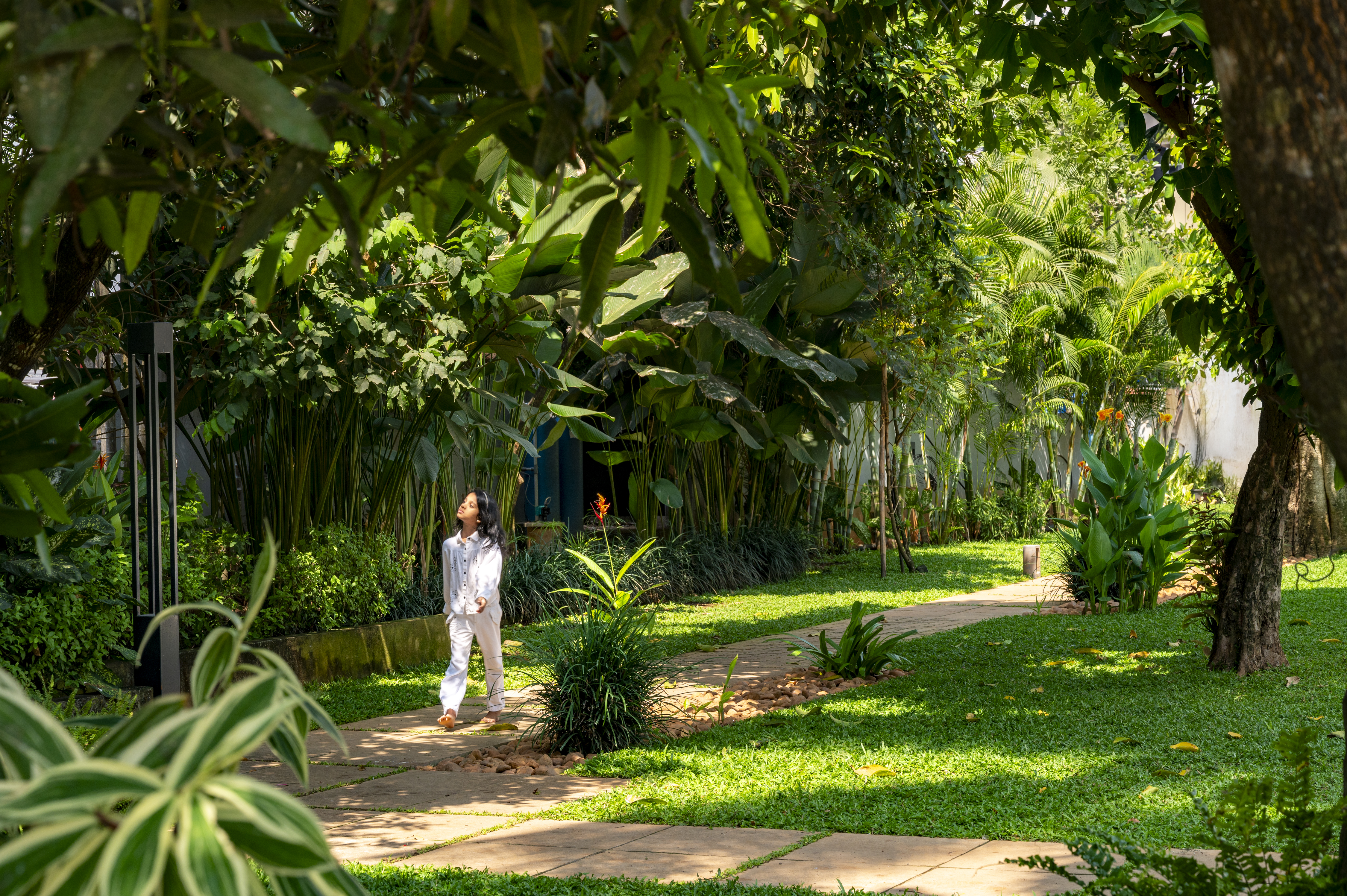 Landscape planting detail